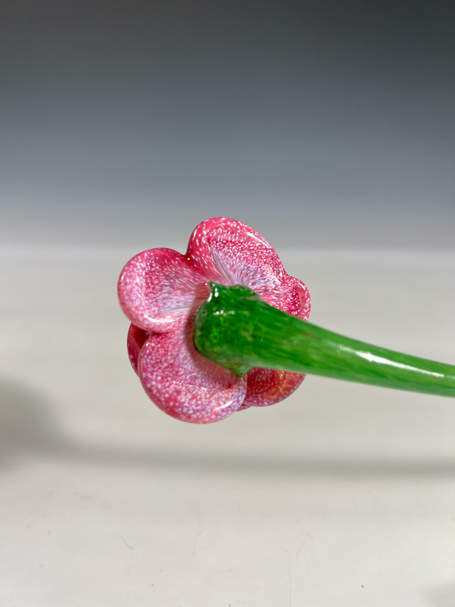 Pink Glass Flower John Gibbons Glass