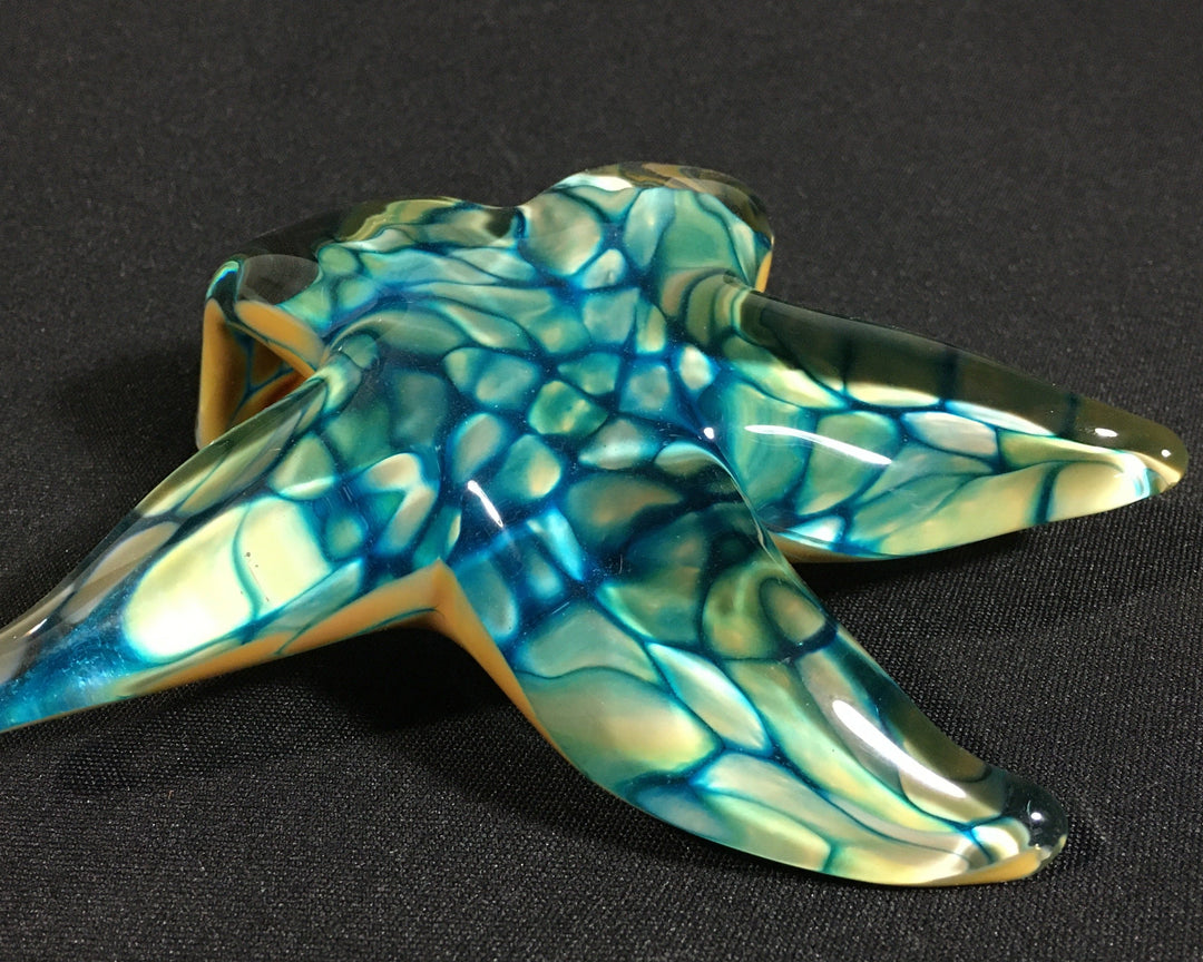 Handsculpted Glass Starfish – John Gibbons Glass