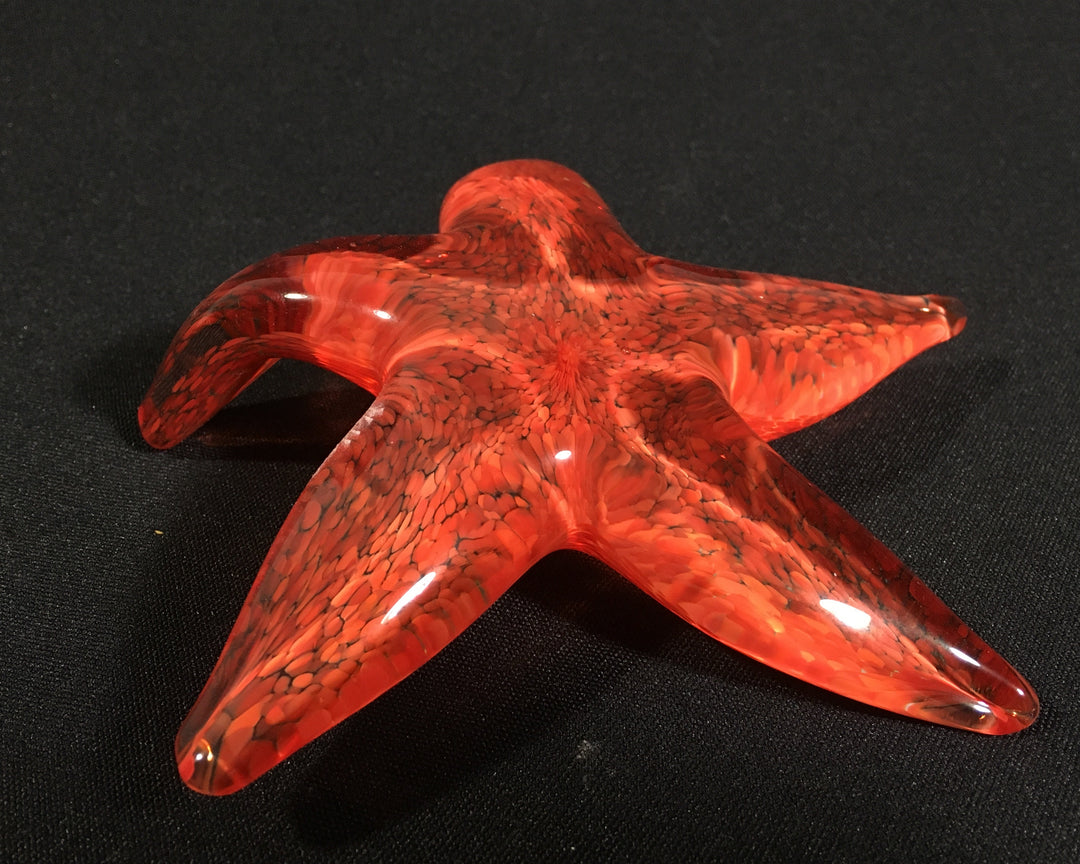 Handsculpted Glass Starfish – John Gibbons Glass