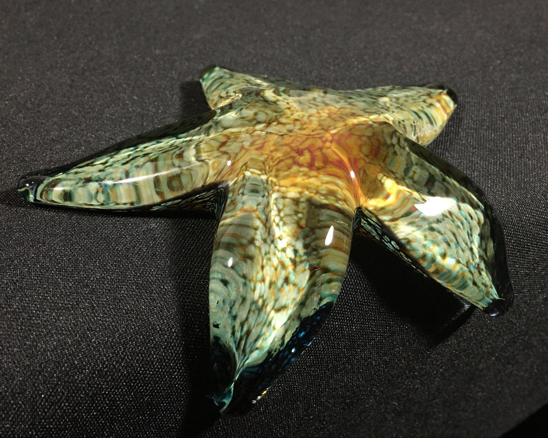 Handsculpted Glass Starfish – John Gibbons Glass