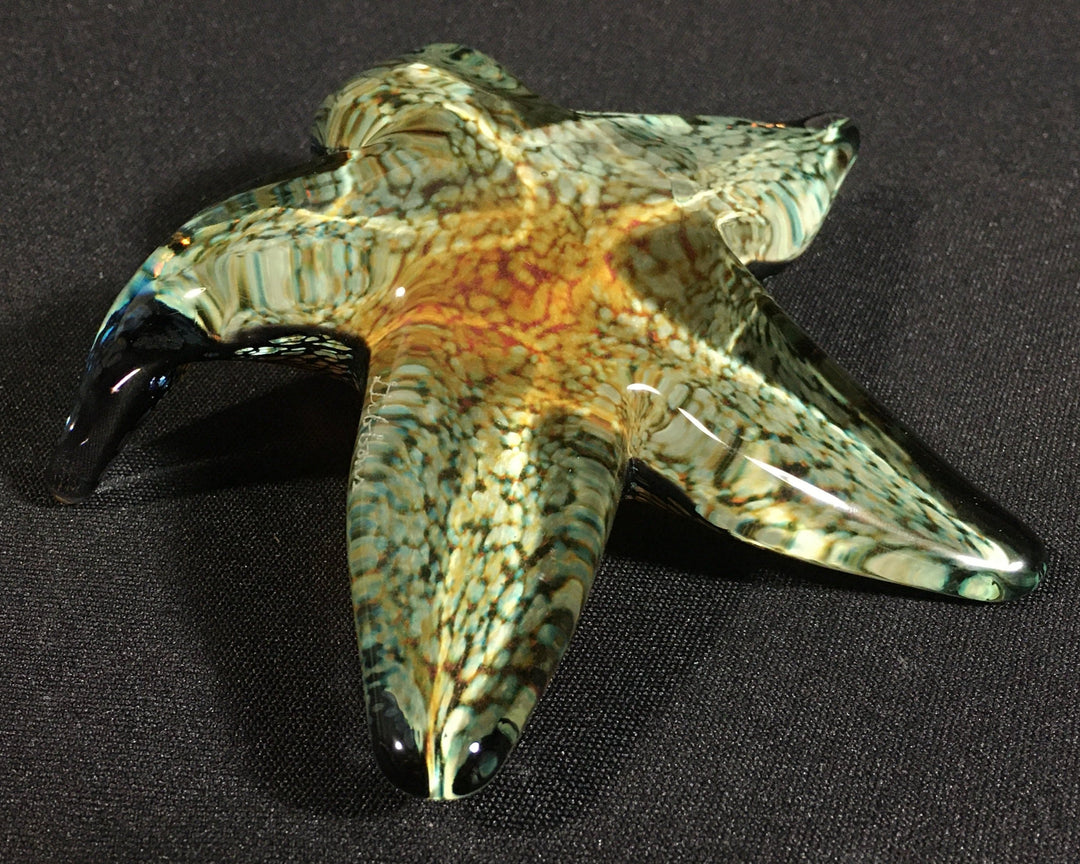 Handsculpted Glass Starfish – John Gibbons Glass